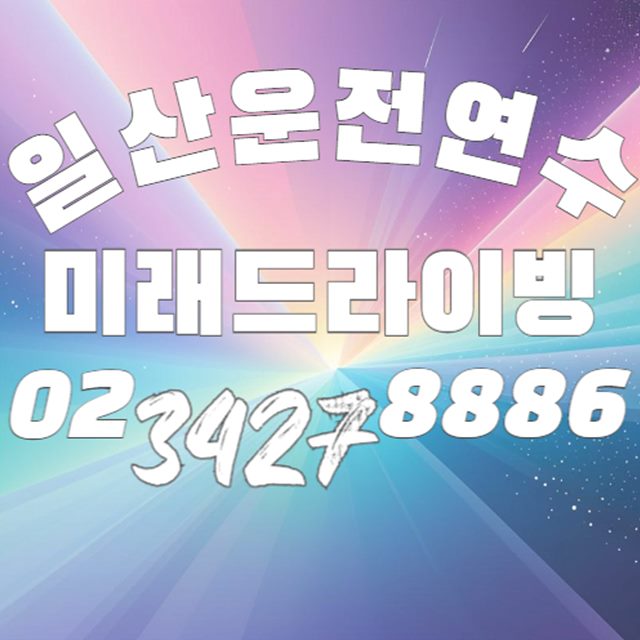 일산운전연수